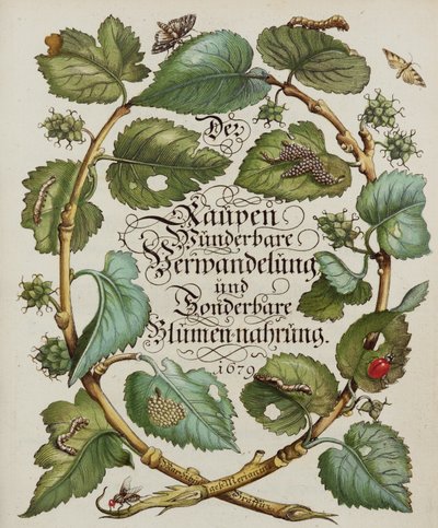 Page de titre d