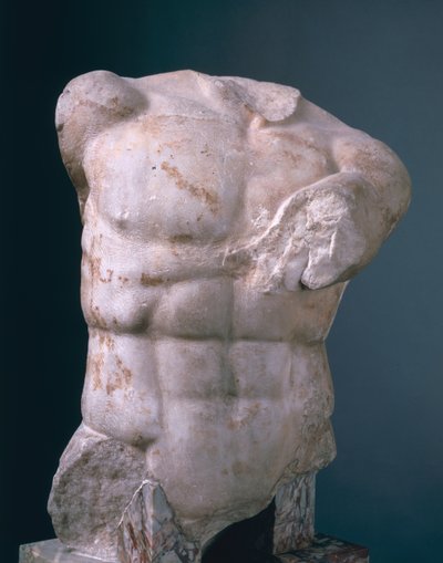 Torse d
