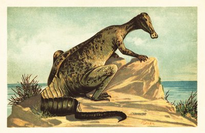 Trachodon mirabilis, dinosaure hadrosauridé éteint - Unbekannter Künstler