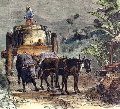 Transport de rhum - Unbekannter Künstler