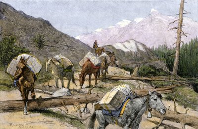 Transport de fournitures et de fourrures à cheval dans les montagnes Rocheuses, USA - Unbekannter Künstler