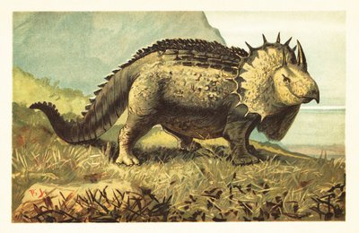 Triceratops prorsus, dinosaure herbivore éteint - Unbekannter Künstler