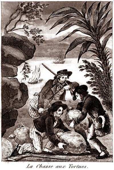 Chasse à la tortue - Unbekannter Künstler