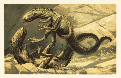 Deux Dryptosaurus aquilunguis combattant. 1908 - Unbekannter Künstler