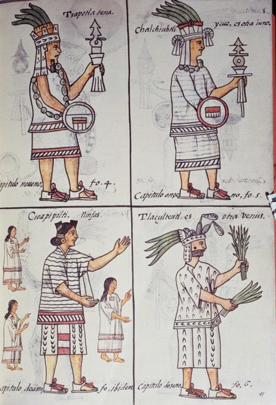 Tzapotlatena, Chalchiuhtlatonal, Cioapipitli et Tliltecuhtli, Codex Florentin - William M. Timlin