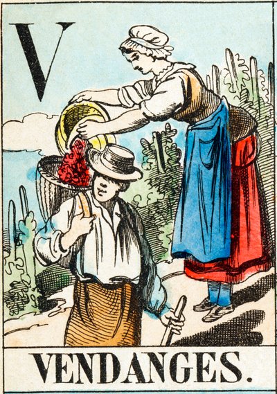 V Vendanges - « Alphabet de la ferme » fin du XIXe siècle (gravure) - Unbekannt