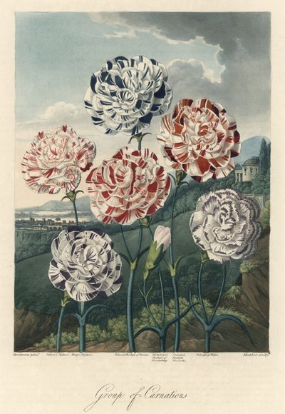 Variétés d