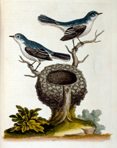 Illustration à l