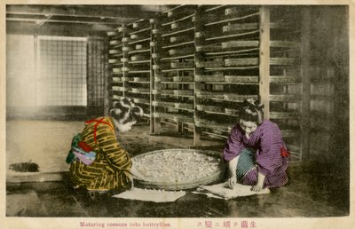 Femmes mûrissant des cocons de vers à soie - Unbekannter Künstler