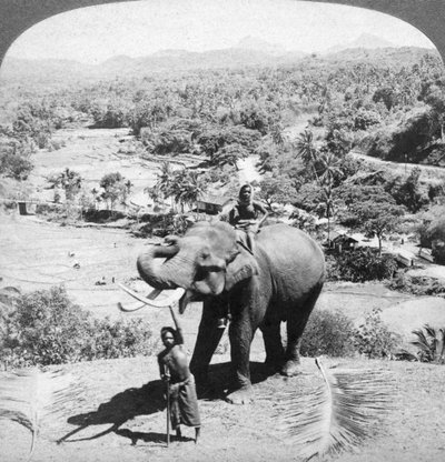 Un éléphant et son gardien, Sri Lanka, 1902 - Underwood and Underwood