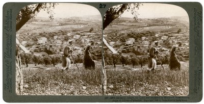 Béthanie, vue depuis le versant est du Mont des Oliviers, Palestine, 1899 - Underwood and Underwood