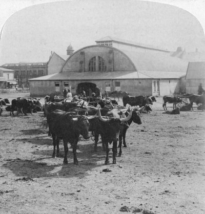 Bâtiment où les prisonniers de guerre ont été jugés, Pretoria, Afrique du Sud, Guerre des Boers, 1901 - Underwood and Underwood