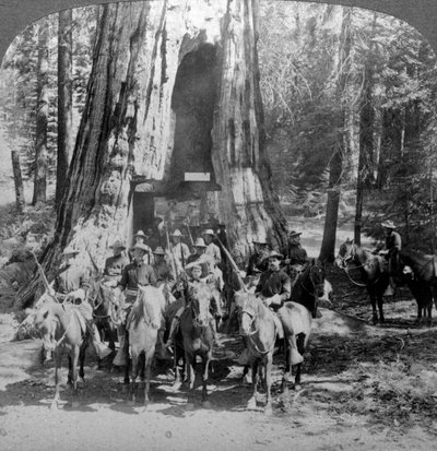 Cavalerie passant à travers le grand arbre de Californie, Californie, États-Unis - Underwood and Underwood