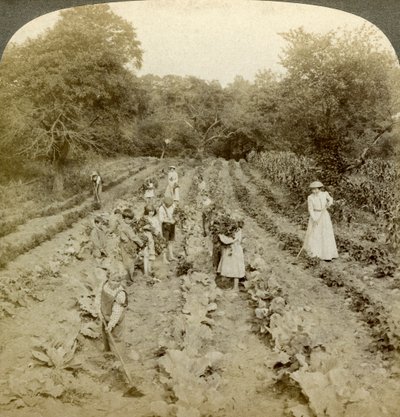 Enfants travaillant dans un jardin potager, maison de l