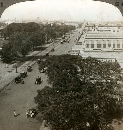 Chowringhee Road, Calcutta, Inde, c1900s - Underwood and Underwood