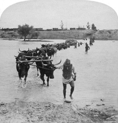 Traversée de la rivière Modder, Guerre des Boers, Afrique du Sud, 15 février 1901 - Underwood and Underwood