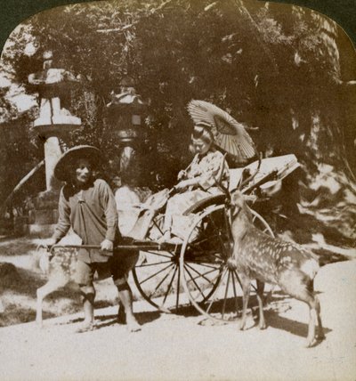 Fille nourrissant des cerfs sacrés en route pour les prières, terrain du temple Kasuga, Nara, Japon, 1904 - Underwood and Underwood