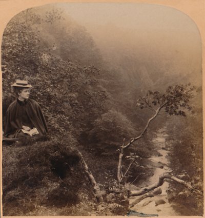 Je le trouve brave, mais sauvage comme la vague tonnante de Bracklinn - La Dame du Lac de Scott, 1898 - Underwood and Underwood
