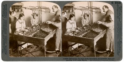 Fabrication de la soie, Syrie, années 1900 - Underwood and Underwood