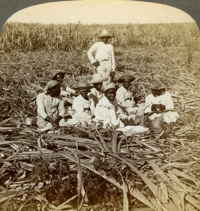 Sur la plantation de sucre La Union, San Luis, province de Santiago, Cuba, 1899 - Underwood and Underwood