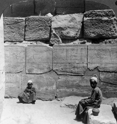 Plantes et animaux rapportés de Syrie par les pharaons, temple de Karnak, Égypte, 1905 - Underwood and Underwood