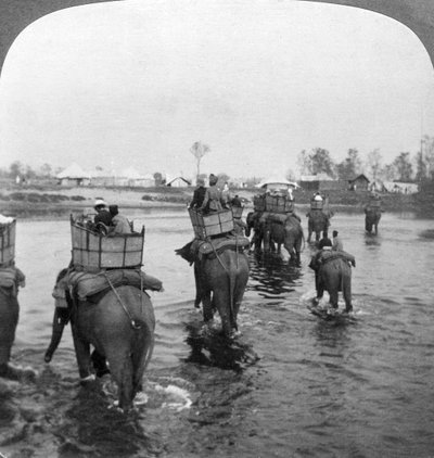 Retour au camp après une journée de chasse dans la jungle de Behar, Inde, 1909 - Underwood and Underwood