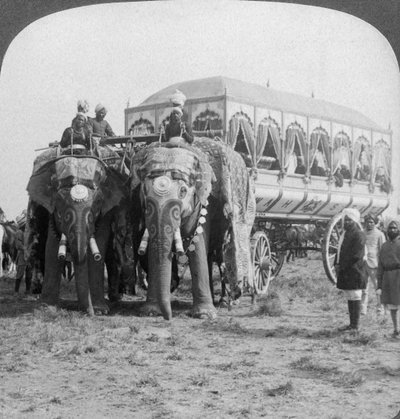 Éléphants richement ornés et carrosse du Maharaja de Rewa au Delhi Durbar, Inde - Underwood and Underwood