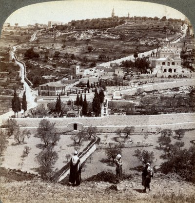 Le jardin de Gethsémani et le mont des Oliviers, Palestine, 1908 - Underwood and Underwood