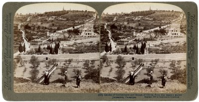 Le Jardin de Gethsémani et le Mont des Oliviers, Palestine, 1908 - Underwood and Underwood