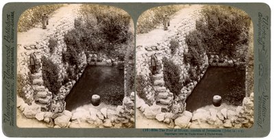 La piscine de Siloé, à l