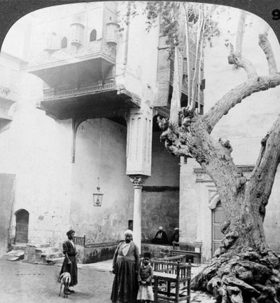 Les fenêtres du harem dans la cour d