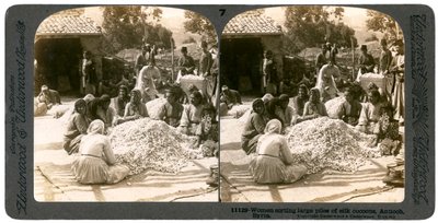 Femmes triant de grandes piles de cocons de soie, Antioche, Syrie - Underwood and Underwood