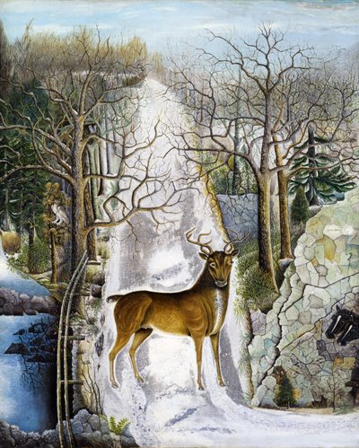 Cerf à Echo Rock - Unidentified