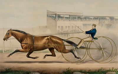 La célèbre jument de trot Lady Thorn - Unidentified