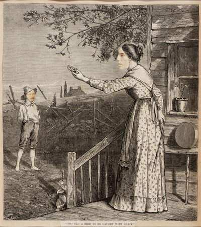Un oiseau trop vieux pour être pris avec des paillettes - Unidentified