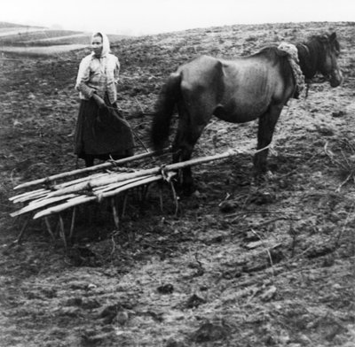Une paysanne avec un cheval labourant la terre dans une ferme du village de Voronovo sur la Volga dans la Russie pré-révolutionnaire, 1900 - Unknown