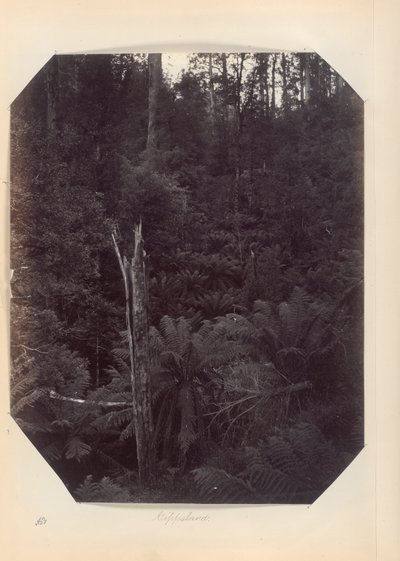 Australie - (Victoria et Australie du Sud) - Unknown