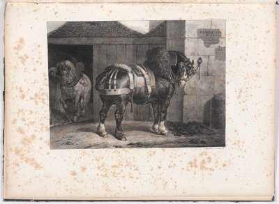 Cheval noir debout devant une écurie - Unknown
