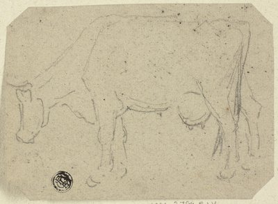 Vache broutant (recto) ; Tête d
