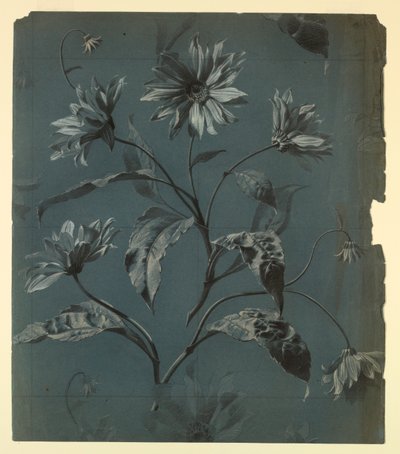 Design pour Papier Peint ou Textile de Fleur de Type Marguerite avec Répétition - Unknown