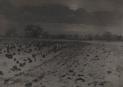 Champ de choux sous la neige - Unknown