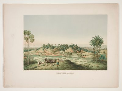Côte nord de Samarang - Unknown