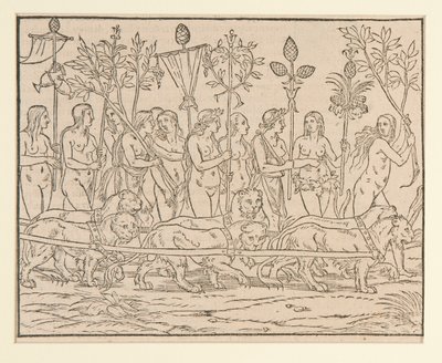 Page d