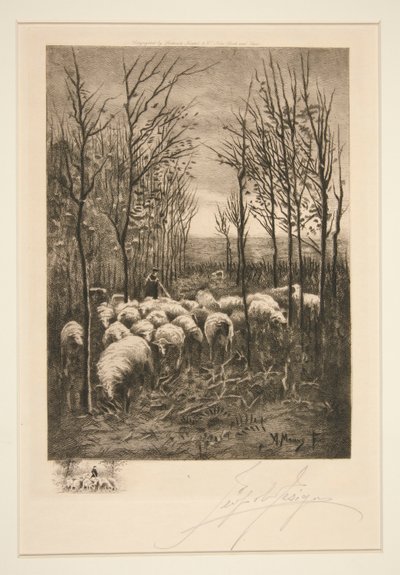 Moutons dans le Pâturage - Unknown