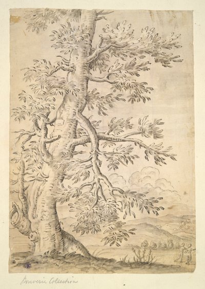 Arbre - Unknown