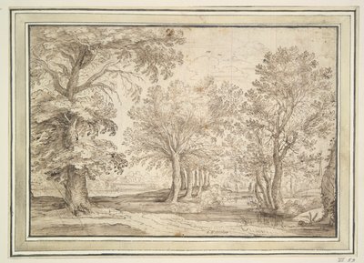 Arbres sur un terrain marécageux - Unknown