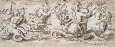 Tritons, Néréides et autres figures - Unknown