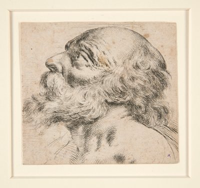 Sans titre (homme barbu, regardant vers la droite) - Unknown