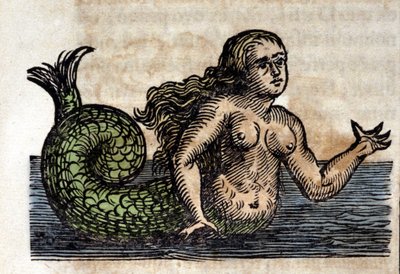 Une sirène, personnage légendaire - Gravure d