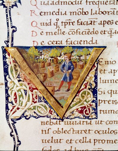 Un apiculteur et ses ruches (miniature) - Unknown artist